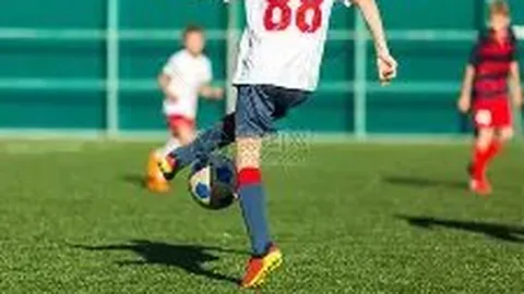 乐竞体育 产品 132529 zzn