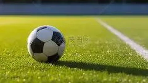 乐竞体育 资讯 131459 ssv