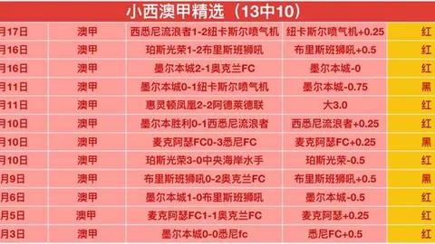 东契奇巧妙传球，克内克特轻松三分得手